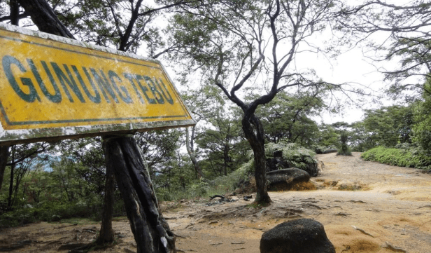 gunung tebu.png